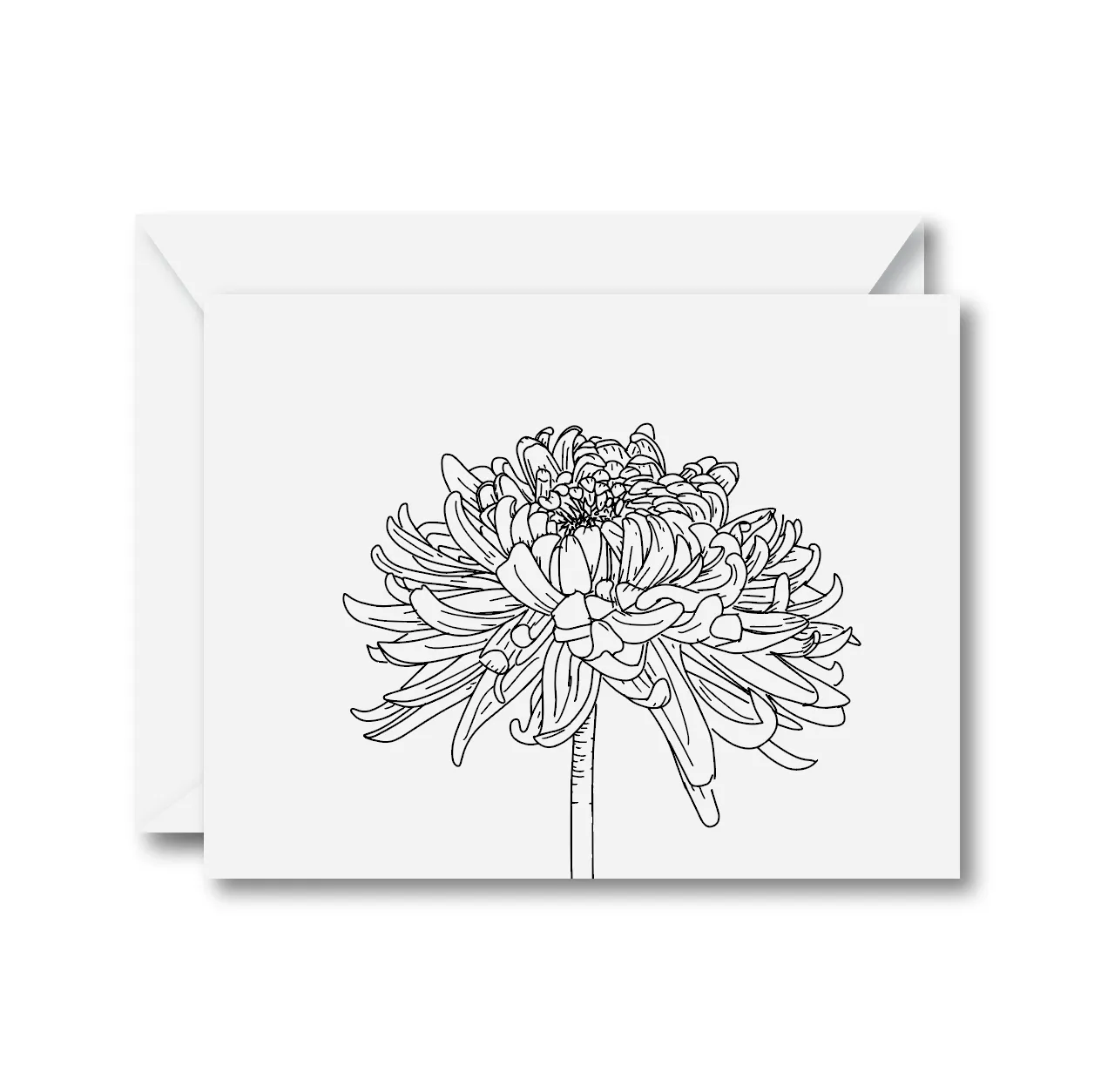 Chrysanthemum Card