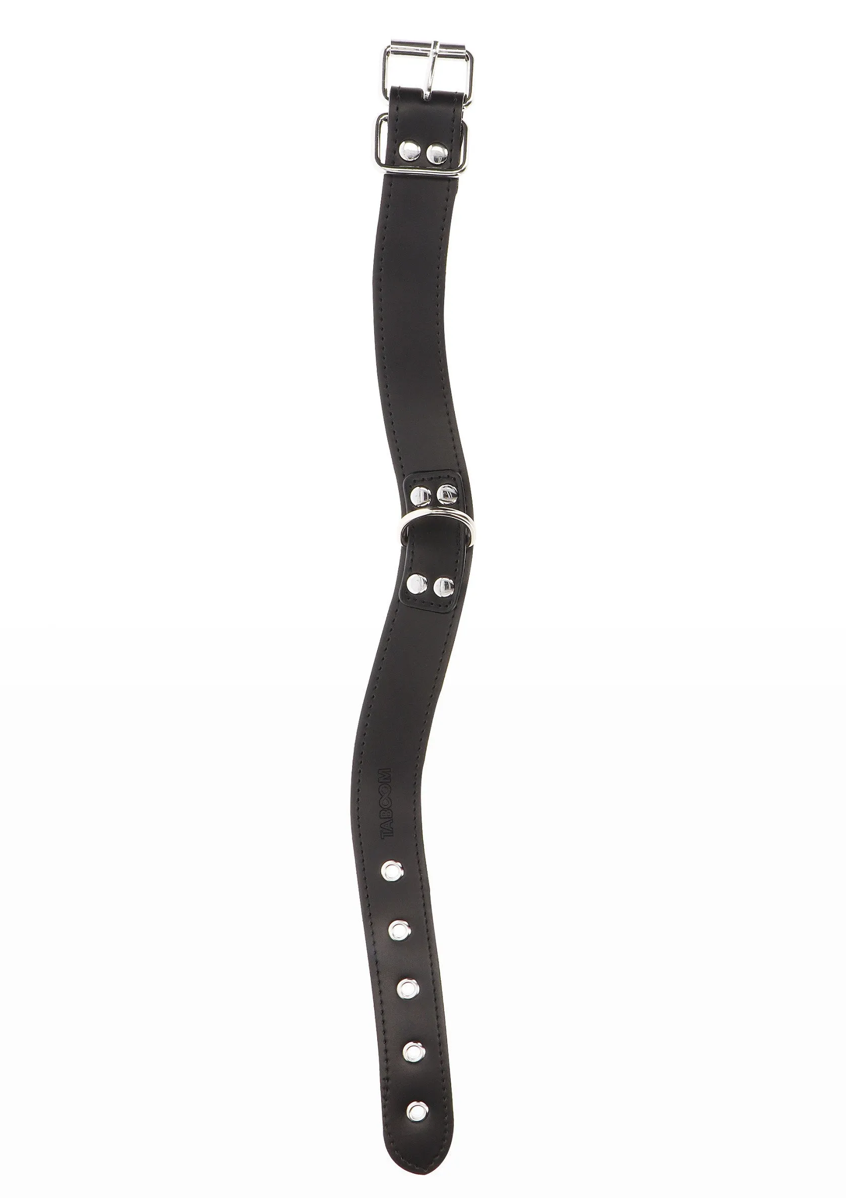 Elegant D-Ring Collar