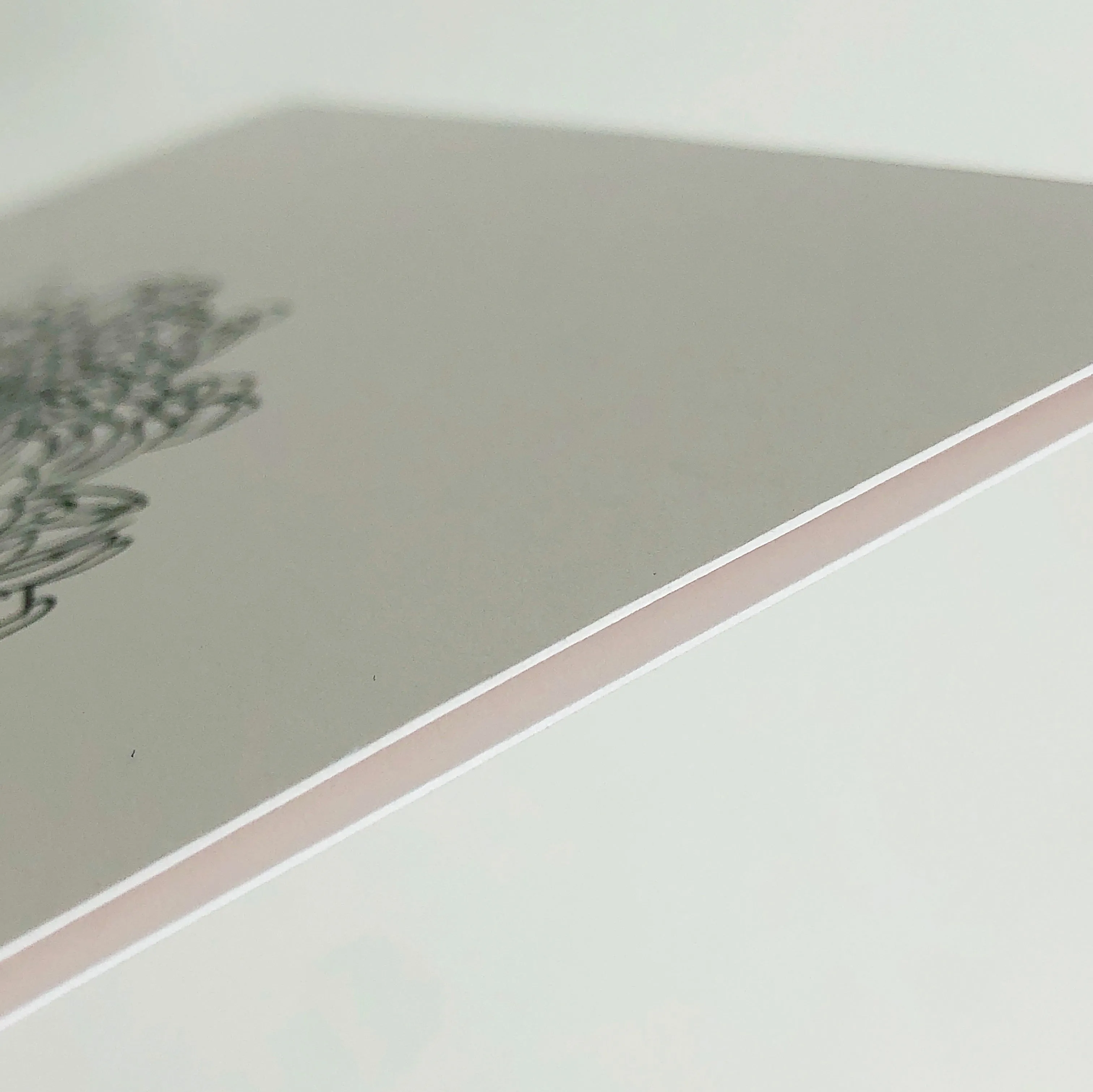 Fern Illustration Card