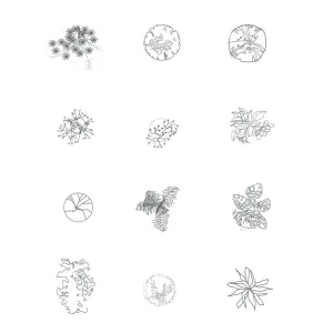 Minimal Vegetation AutoCAD Block / Set 02