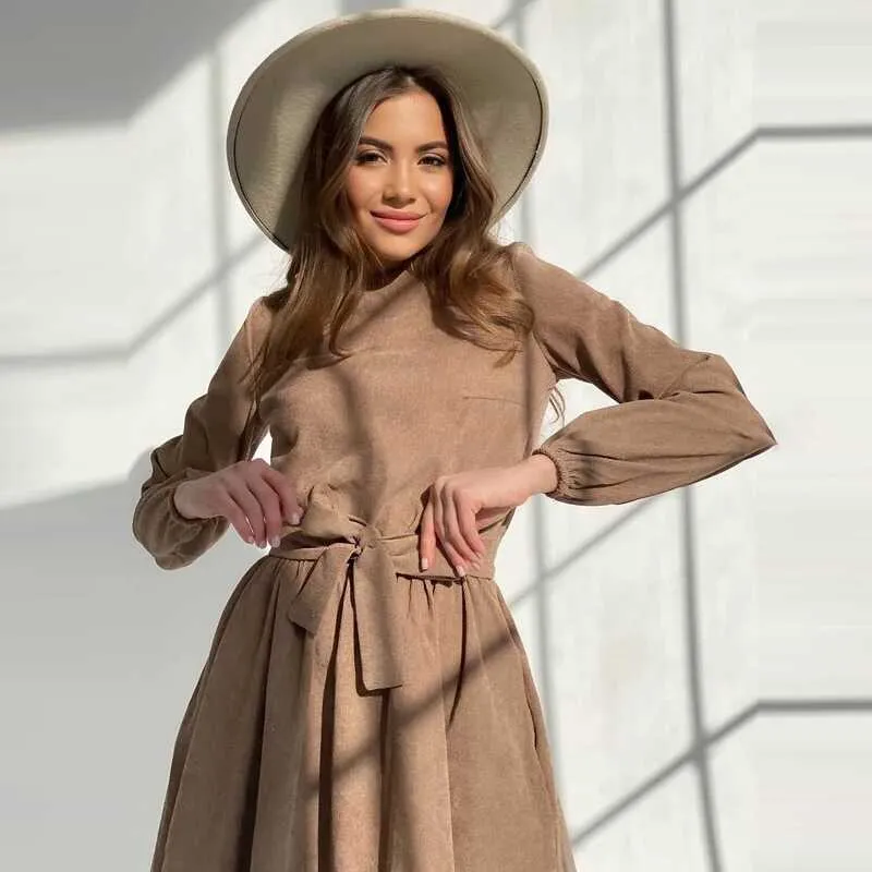 Temperament Pullover Dress